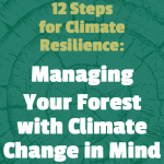 12 Steps for Climate Resilience: Managing Your Forest with Climate Change in Mind